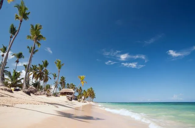 Sirenis Punta Cana Resort beach